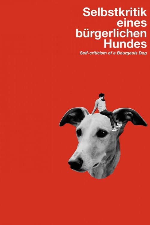 Autocritique d’un chien Bourgeois