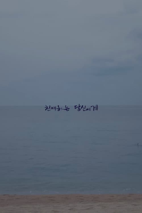 친애하는 당신에게