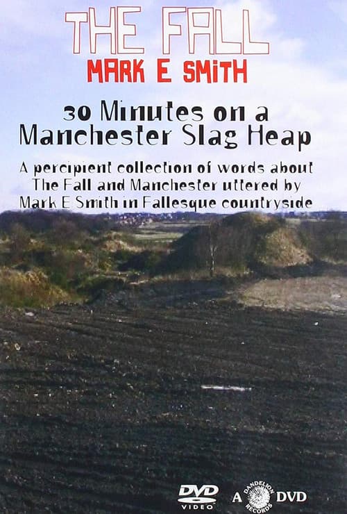 30 Minutes On A Manchester Slag Heap