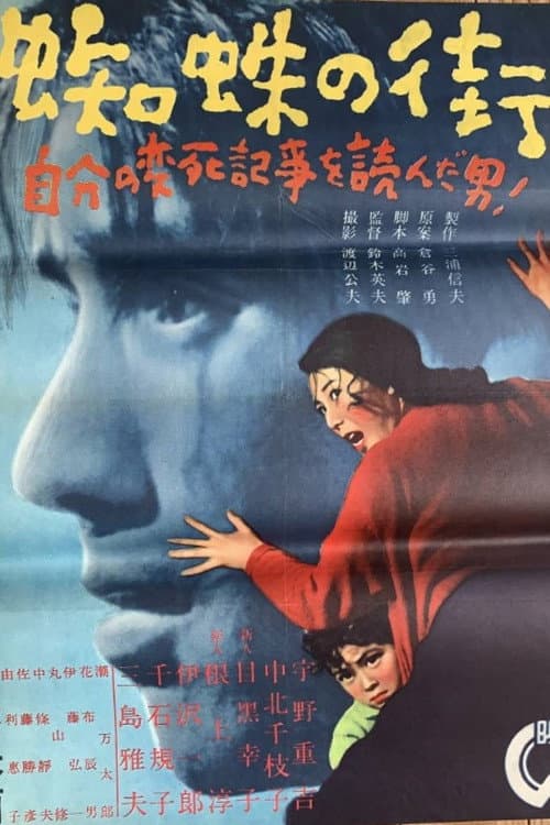 蜘蛛の街