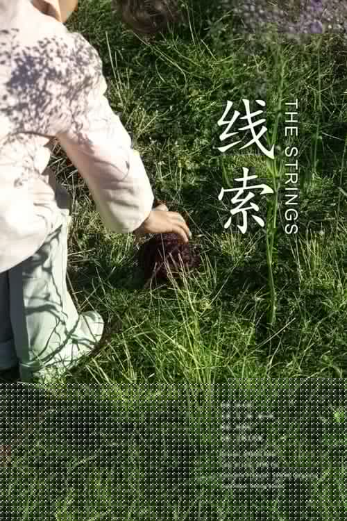 线索