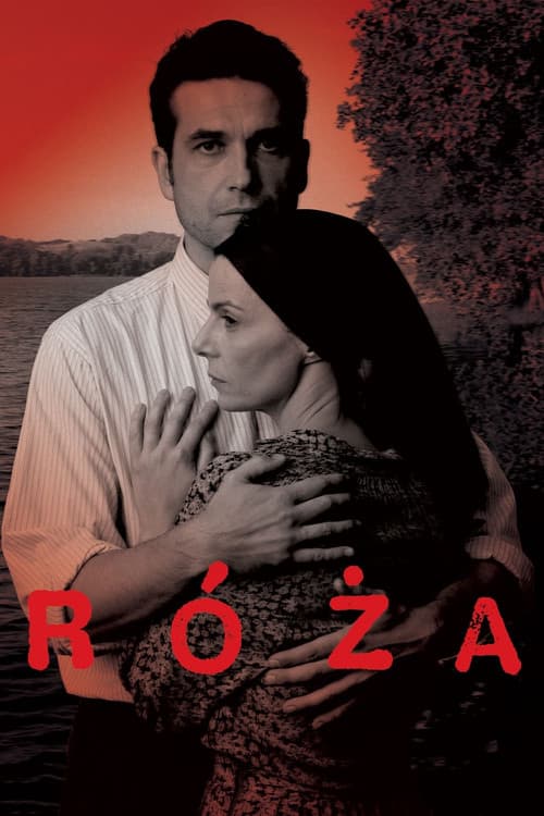 Róża