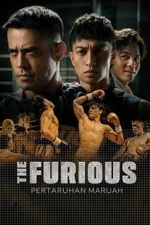 The Furious: Pertaruhan Maruah