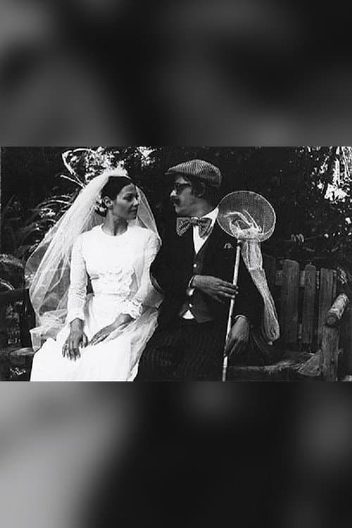 The Bride and the Butterfly Hunter