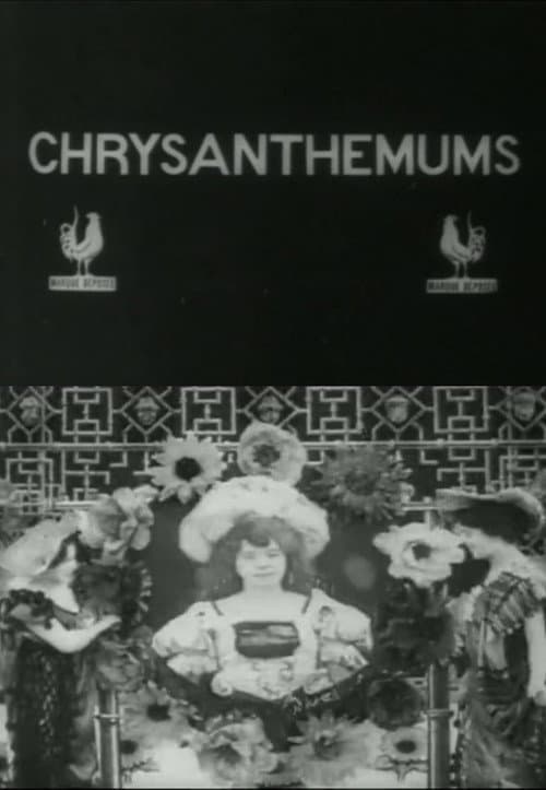 Les Chrysanthèmes