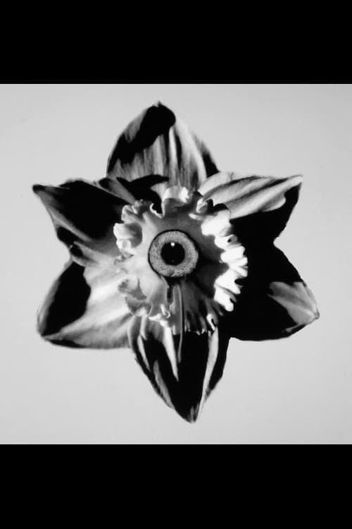 Das ist das Leben