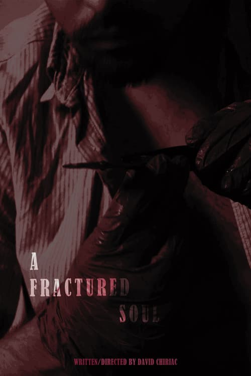 A Fractured Soul