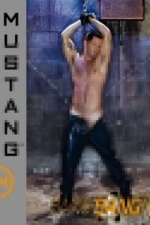 Bang Bang!