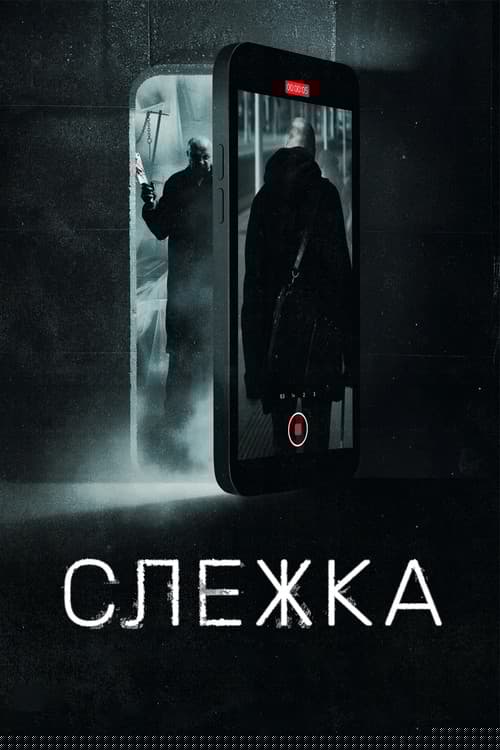 Слежка