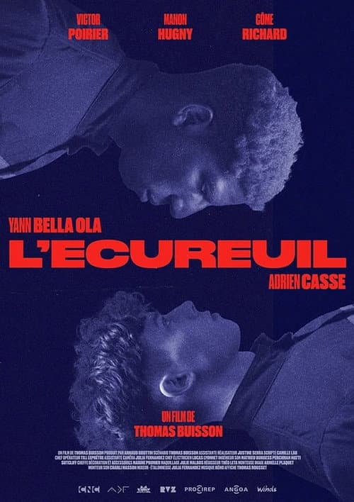 L'Écureuil