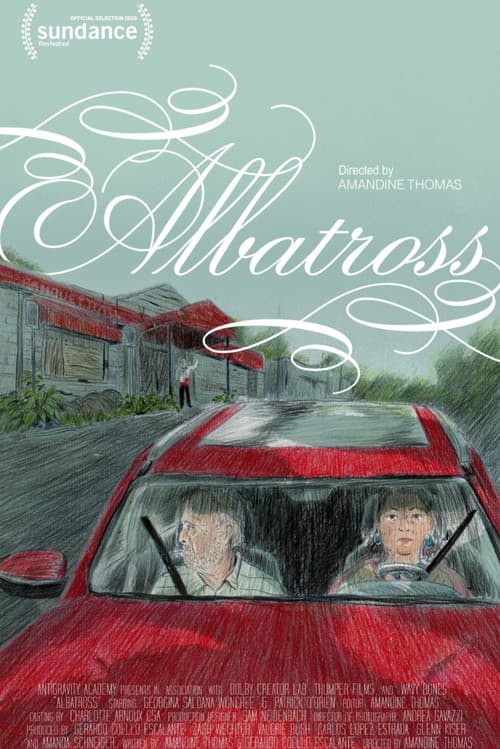 Albatross