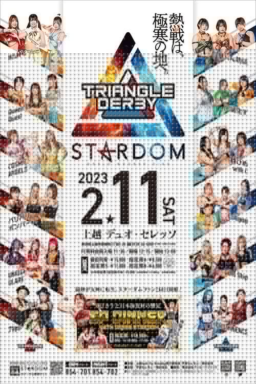 TRIANGLE DERBYⅠ上越大会』