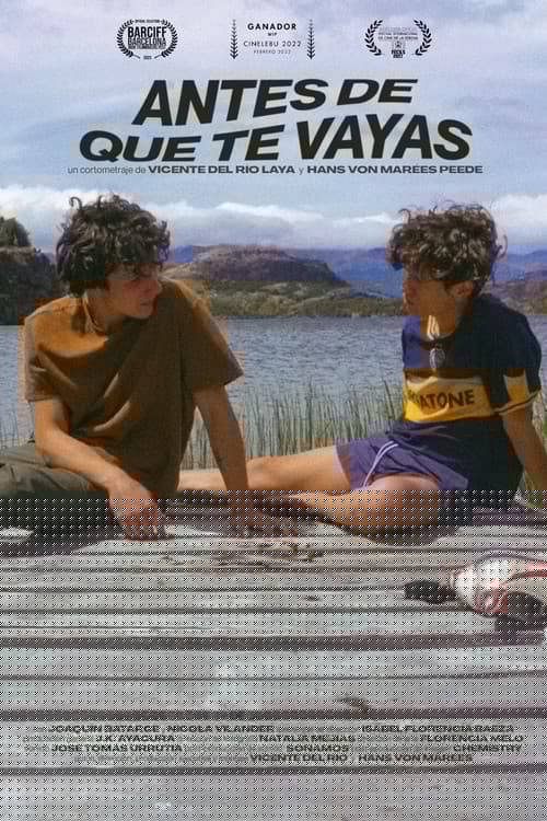 Antes de que te vayas