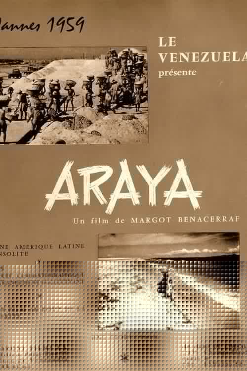 Araya
