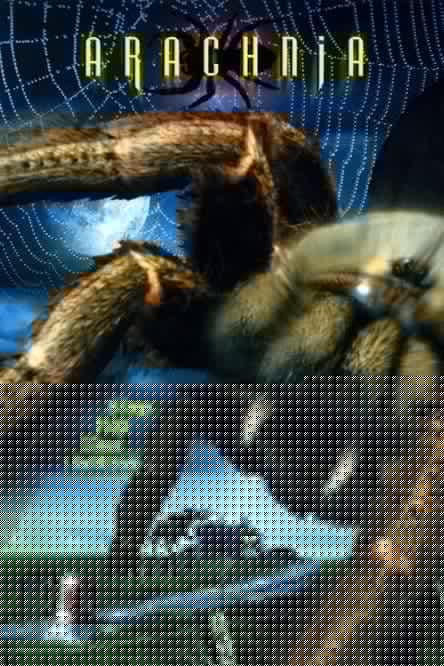 Arachnia
