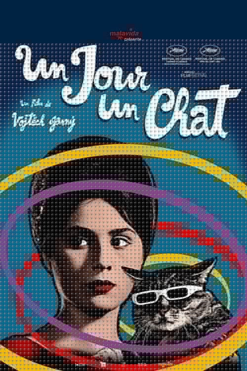 Un jour, un chat…