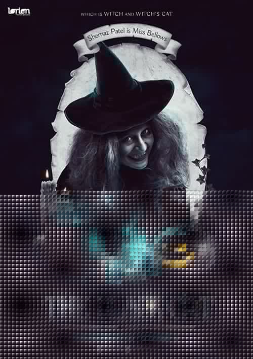 The Black Cat