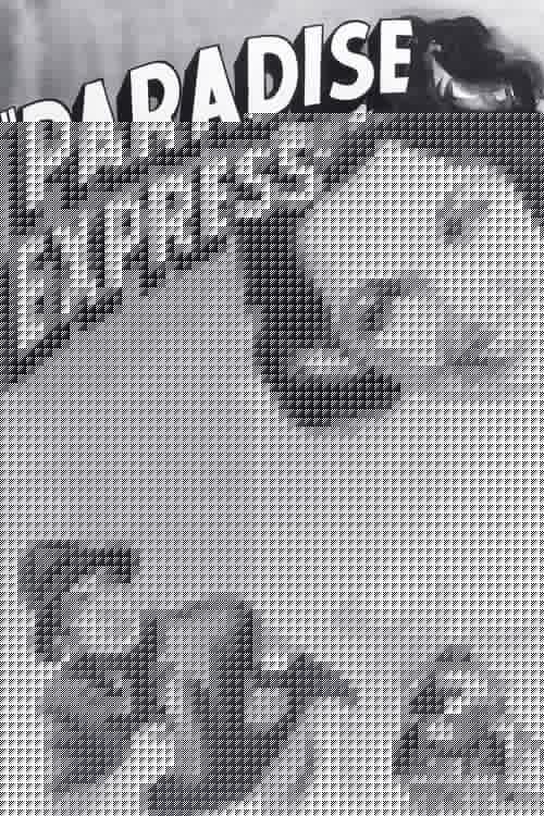 Paradise Express