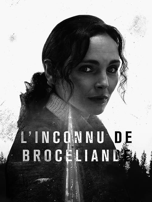 L'Inconnu de Brocéliande