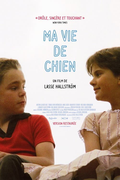 Ma vie de chien