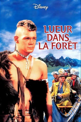 Lueur dans la forêt