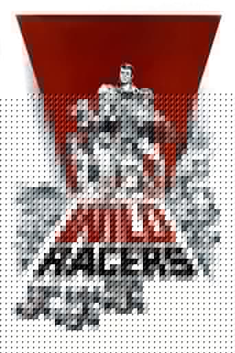 The Wild Racers
