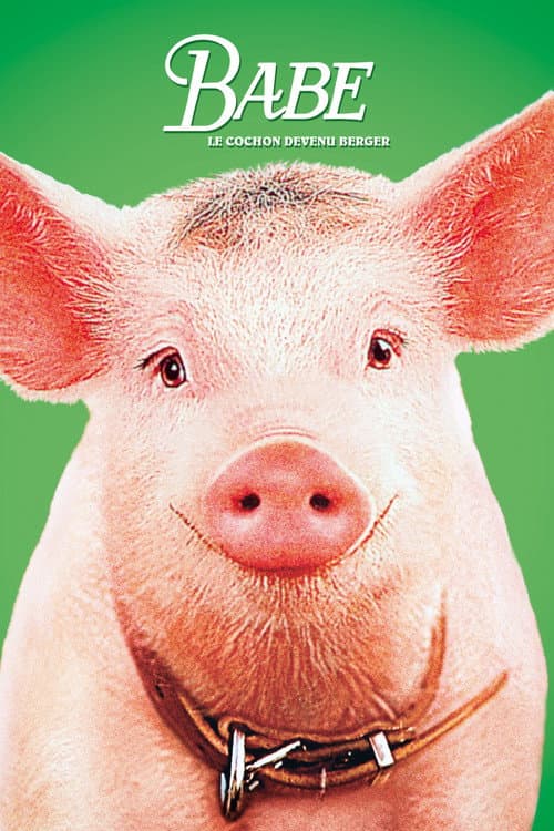 Babe, le cochon devenu berger