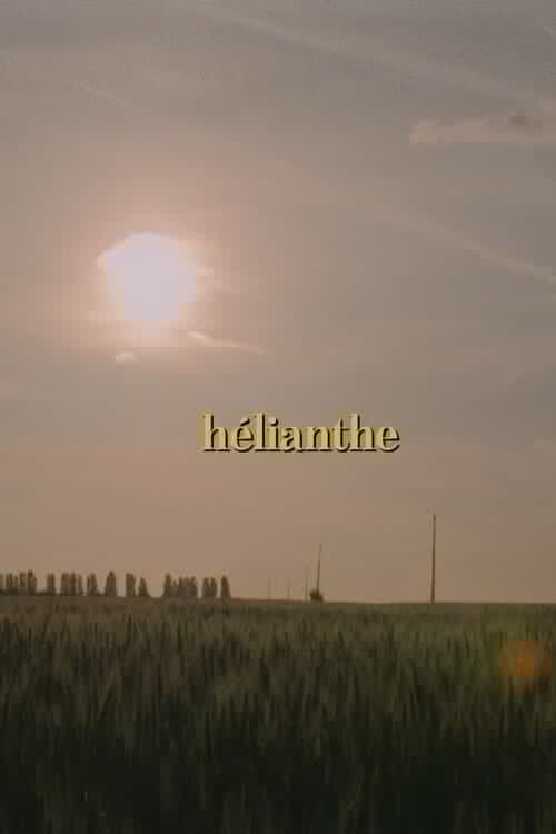 Hélianthe