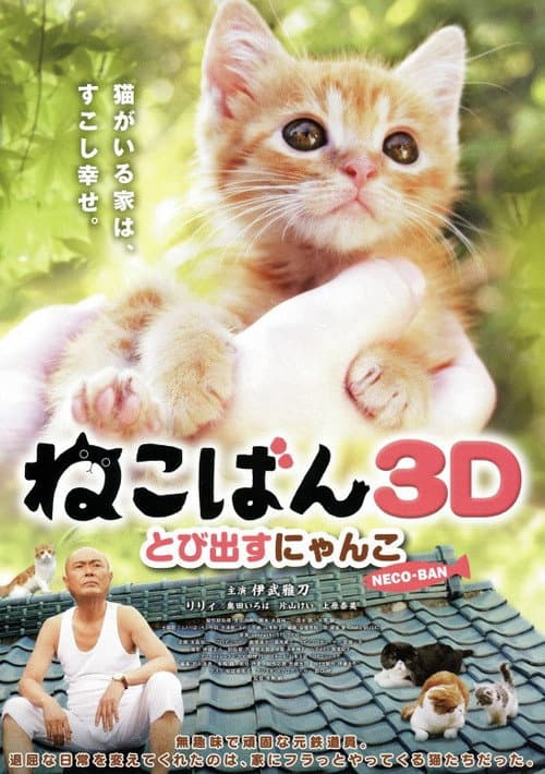 Neco-Ban Cats in Your Life