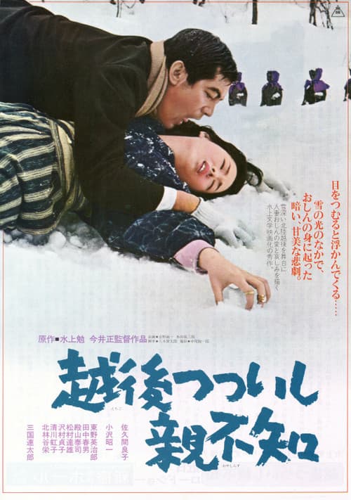 Une histoire d'Echigo