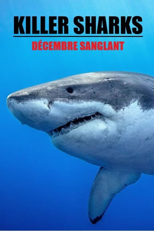 Killer Sharks : décembre sanglant