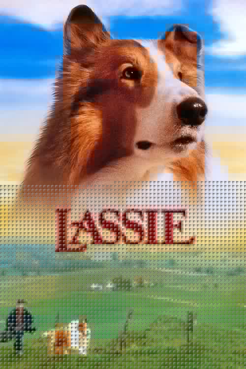 Lassie : Des amis pour la vie
