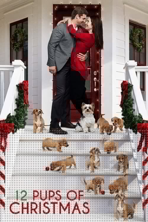 Douze chiots pour Noël