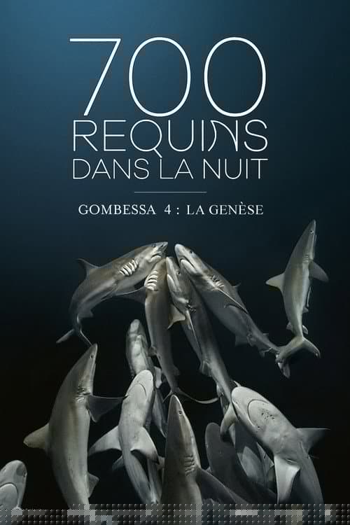 700 requins dans la nuit (Gombessa 4, la genèse)