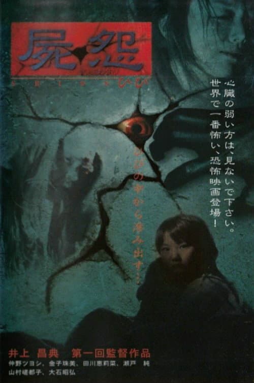 Ninja Vixens : Virgin Nightmares